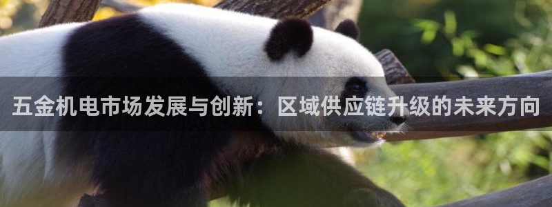 云顶国际app免费下载安装