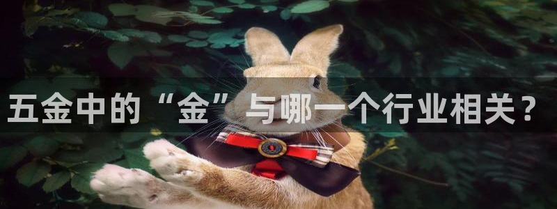 云顶国际服哪个服人多