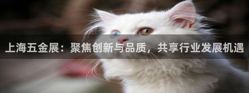 云顶国际黑不黑