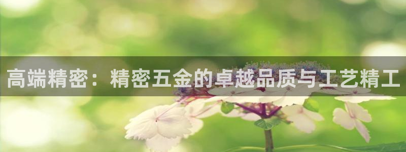 云顶国际官网下载