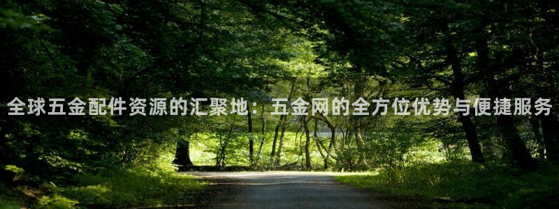 云顶国际服联机