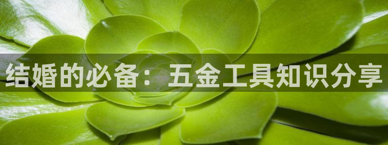 云顶国际提现让你拍身份证