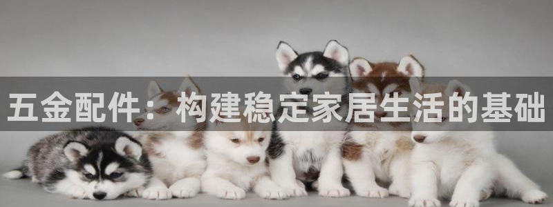 云顶集团中国区