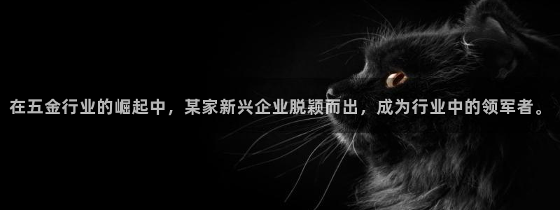 云顶国际存款