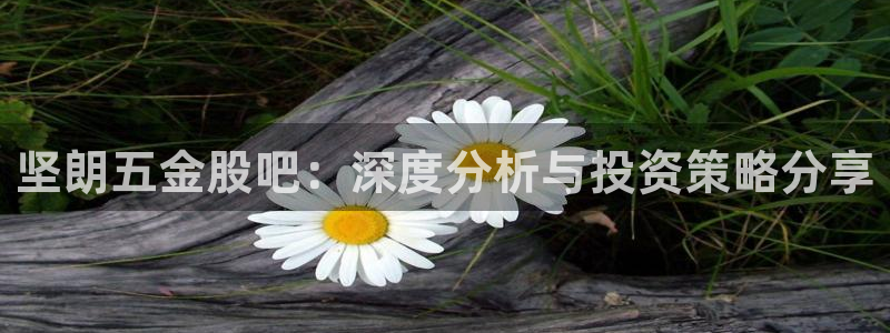云顶国际服和美服通的吗