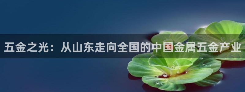 云顶国际下载地址