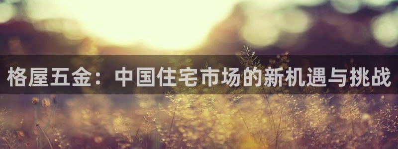 云顶集团网站多少钱一个