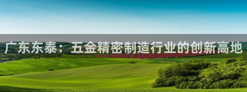 云顶国际服版本