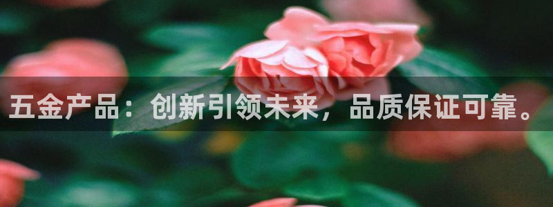 云顶集团rt电子游戏