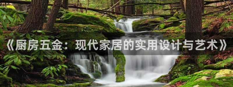 云顶集团董事长林东简历照片