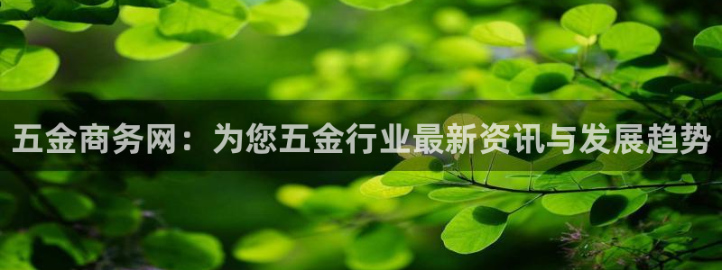 云顶国际教育