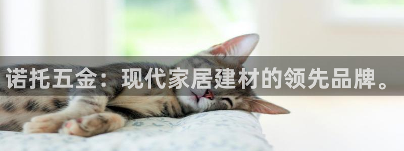 云顶国际商业广场商户