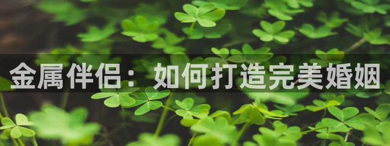 云顶国际app官方下载安装