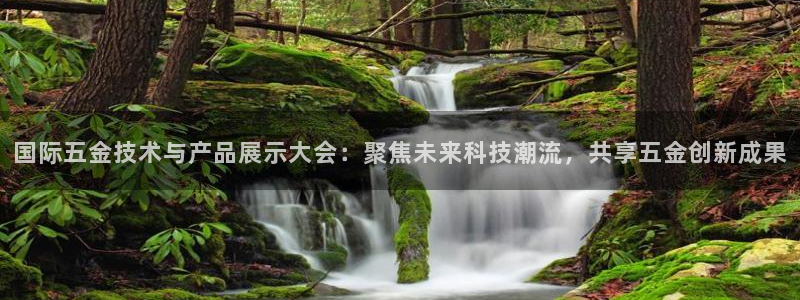 云顶国际前台电话号码