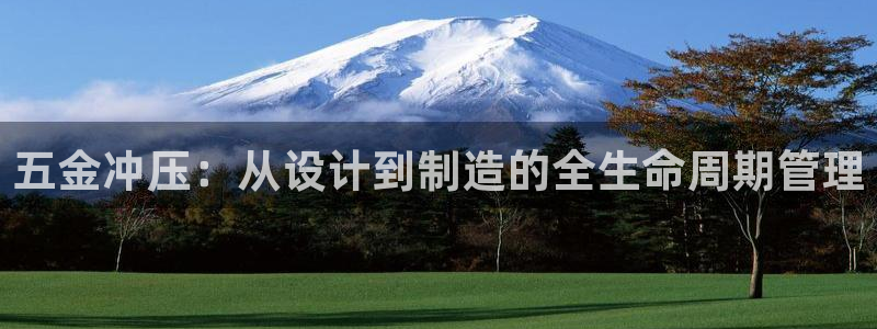 云顶游戏网站网址