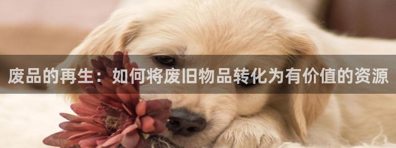 云顶国际ktv会所电话