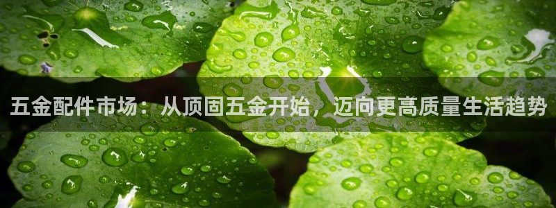 552211云顶网站