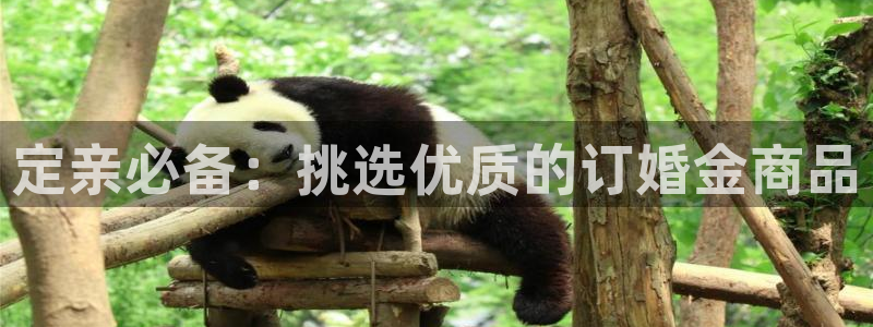 云顶国际集团游戏app