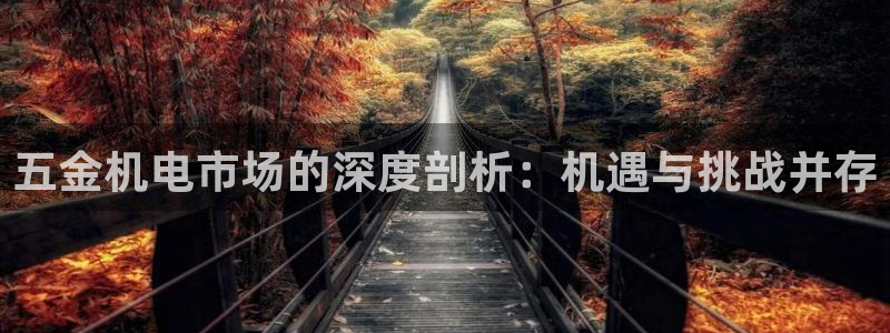 云顶国际服什么时候更新s115