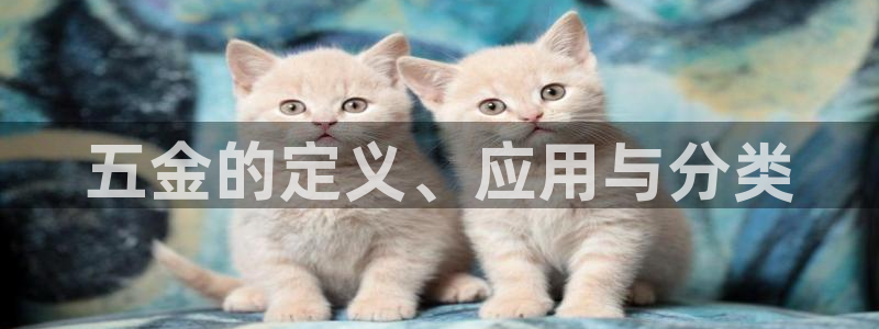 云顶国际平台网址多少