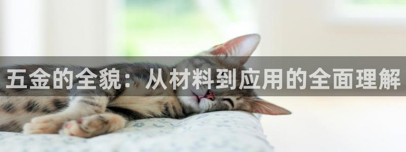云顶国际是不是真的吗