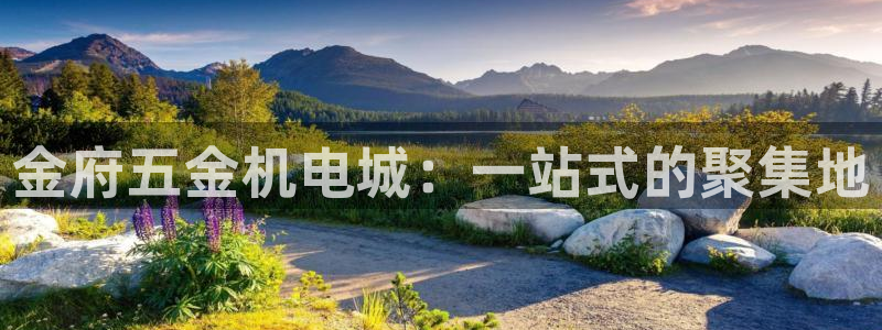 云顶国际物流官网网址