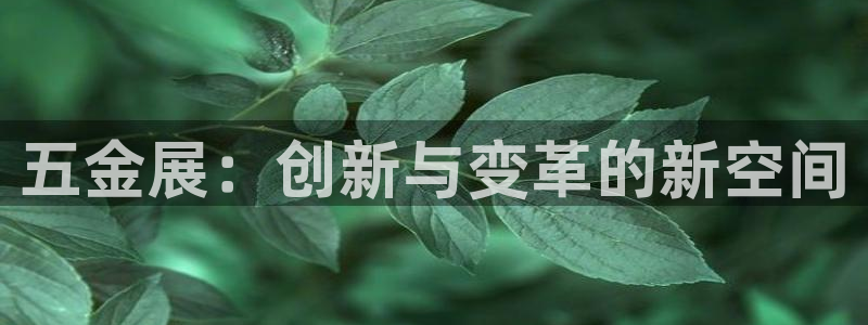 云顶平台网址