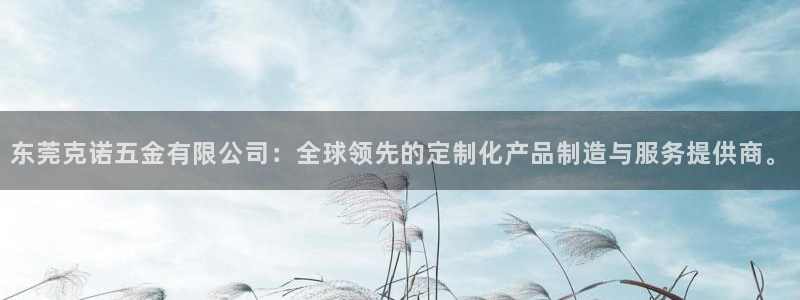 云顶集团网页