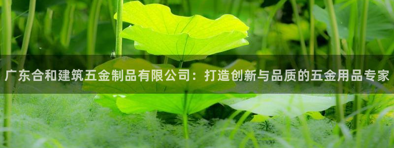 云顶28官网下载