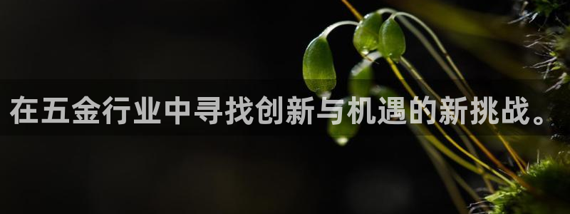 云顶国际提款不到账什么原因