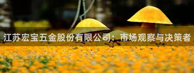 云顶国际平台游戏官网