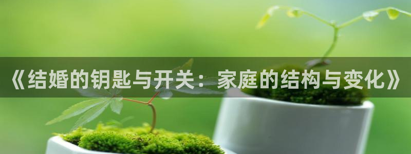 云顶国际集团app