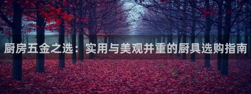 云顶集团专属app