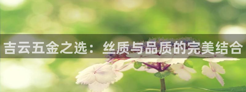 云顶国际服怎么下