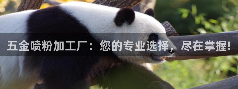 云顶集团在哪里
