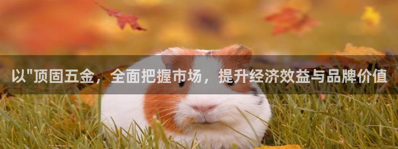 云顶国际服选哪个服务器好