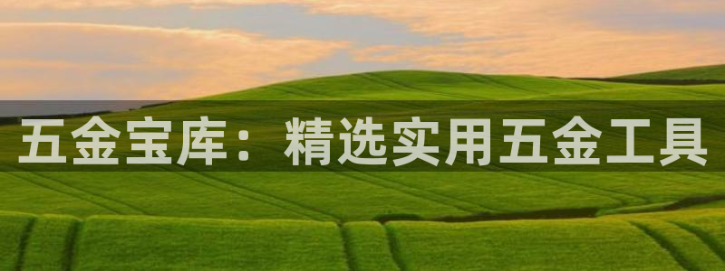 云顶国际服没有改名卡