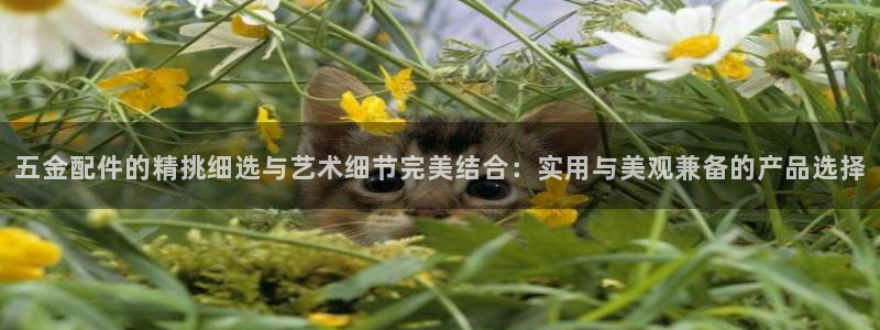 云顶集团 中国排名第几