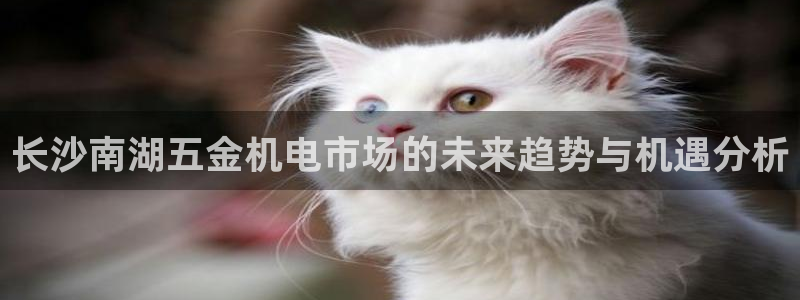 云顶国际会议中心电话