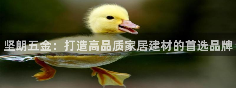 云顶集团app免费下载苹果