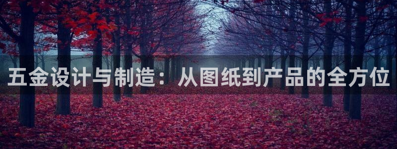 云顶国际服在哪下载