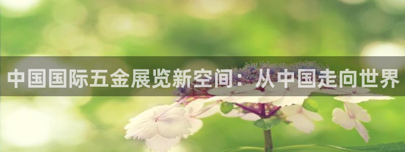 云顶网站是多少