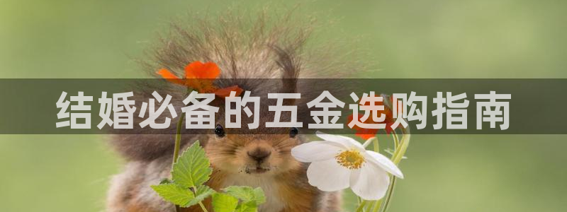 云顶国际服版本