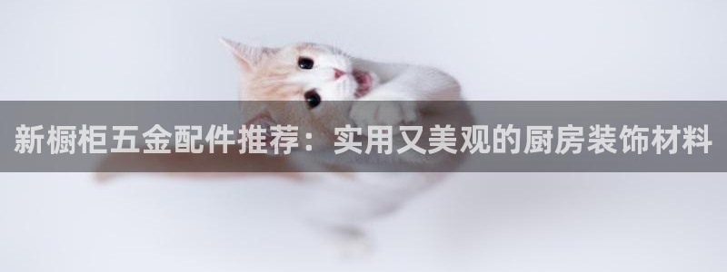 云顶国际AB网
