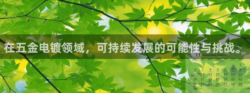 云顶国际平台游戏官网