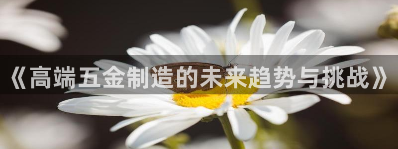 云顶集团3118官网下载