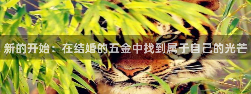 云顶集团公司 英文