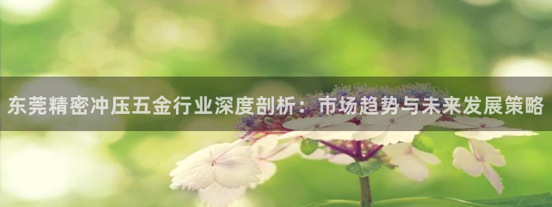 云顶国际网站怎么进不去了