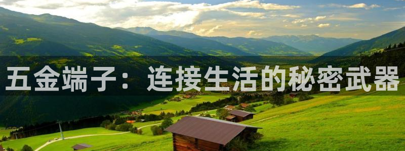 云顶国际物流有限公司