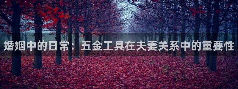 云顶国际线上平台